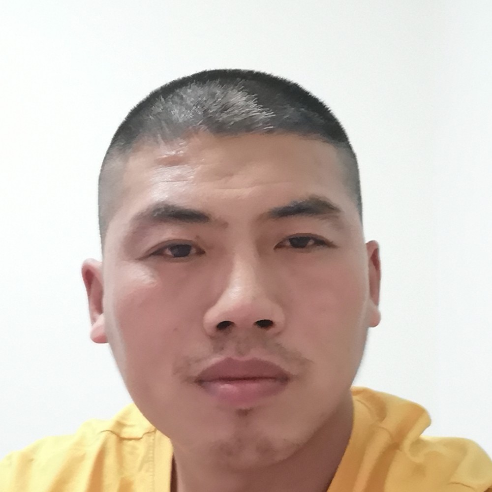走路的鹰的照片