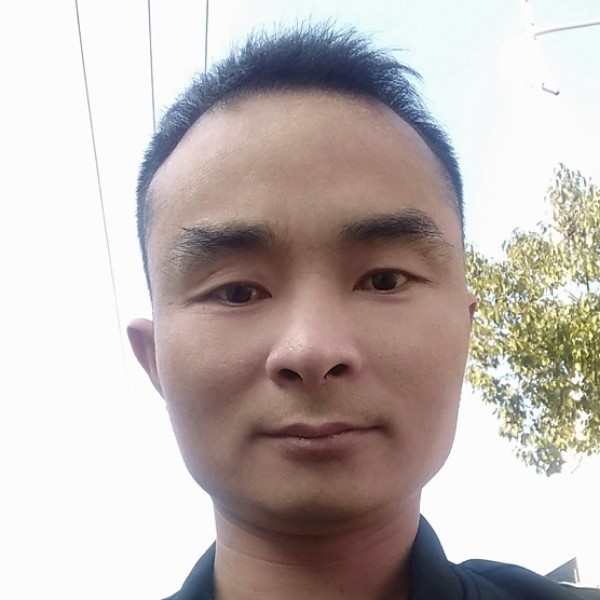 吐司打贪玩的照片