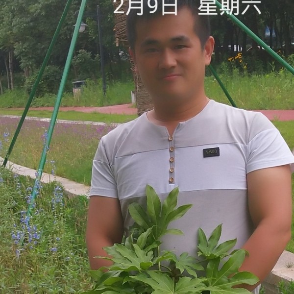 会员289744735的照片