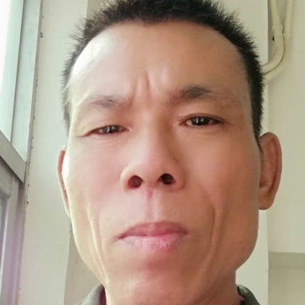 洋葱倾心成就的照片