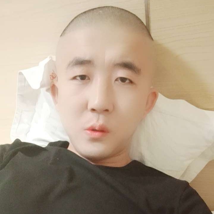 彪壮树叶。的照片