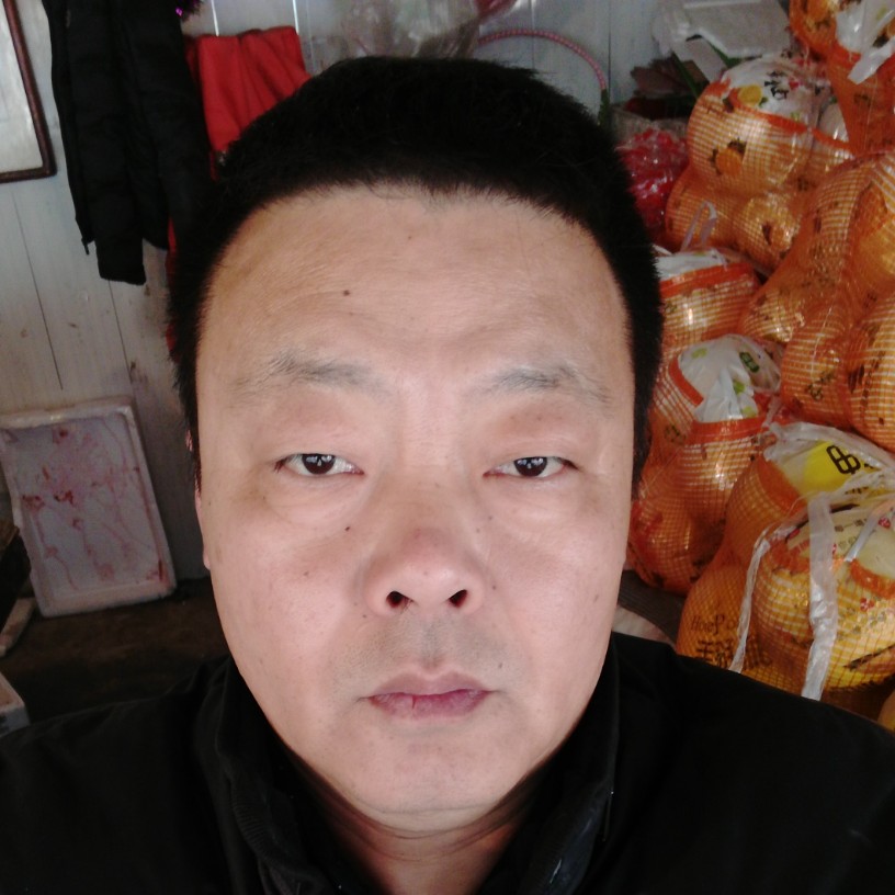 野性红牛的照片