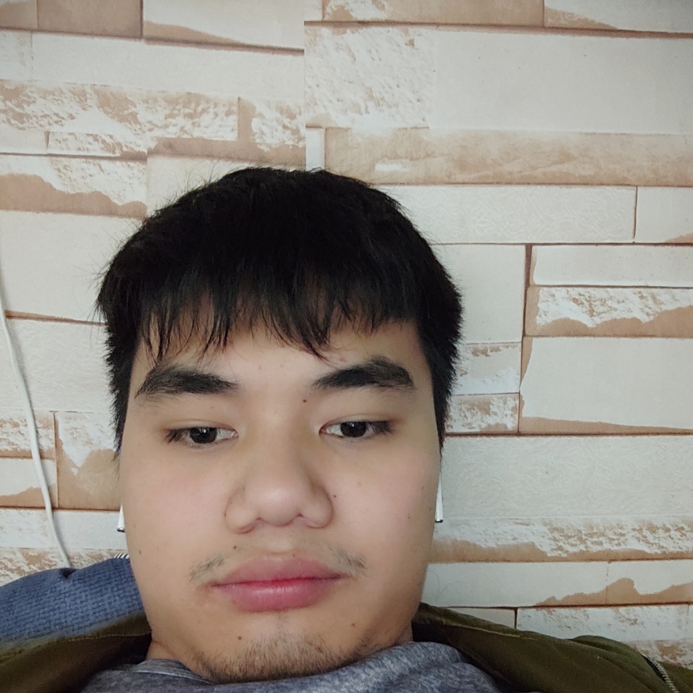 猫咪多么不听话的的照片
