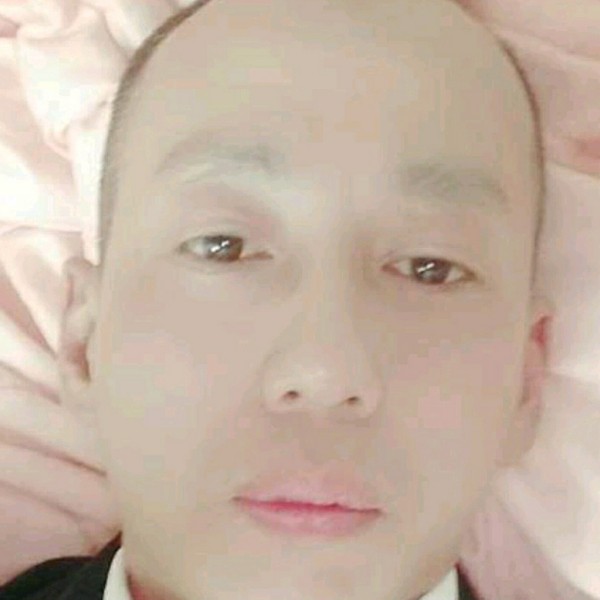 胡萝卜倾心动人的照片