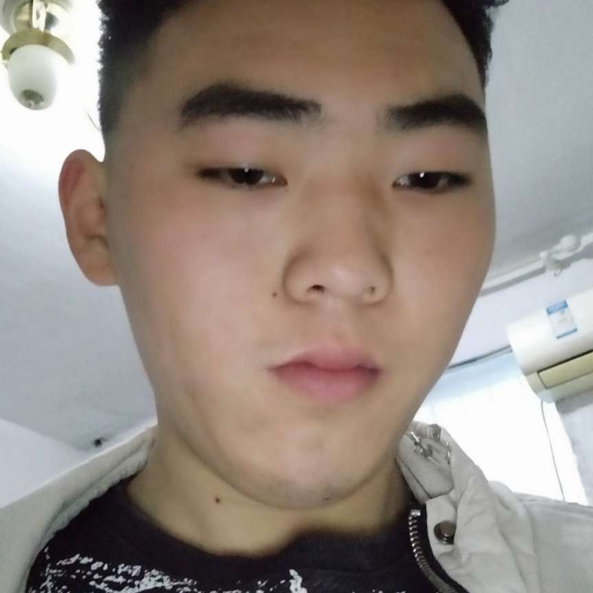 透彻浅吻小猫咪的照片