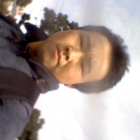 会员943391381的照片