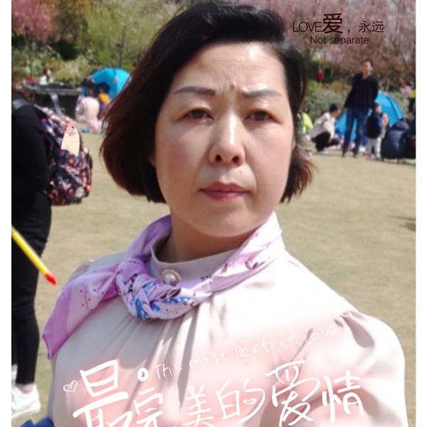 淡定的玫瑰的照片