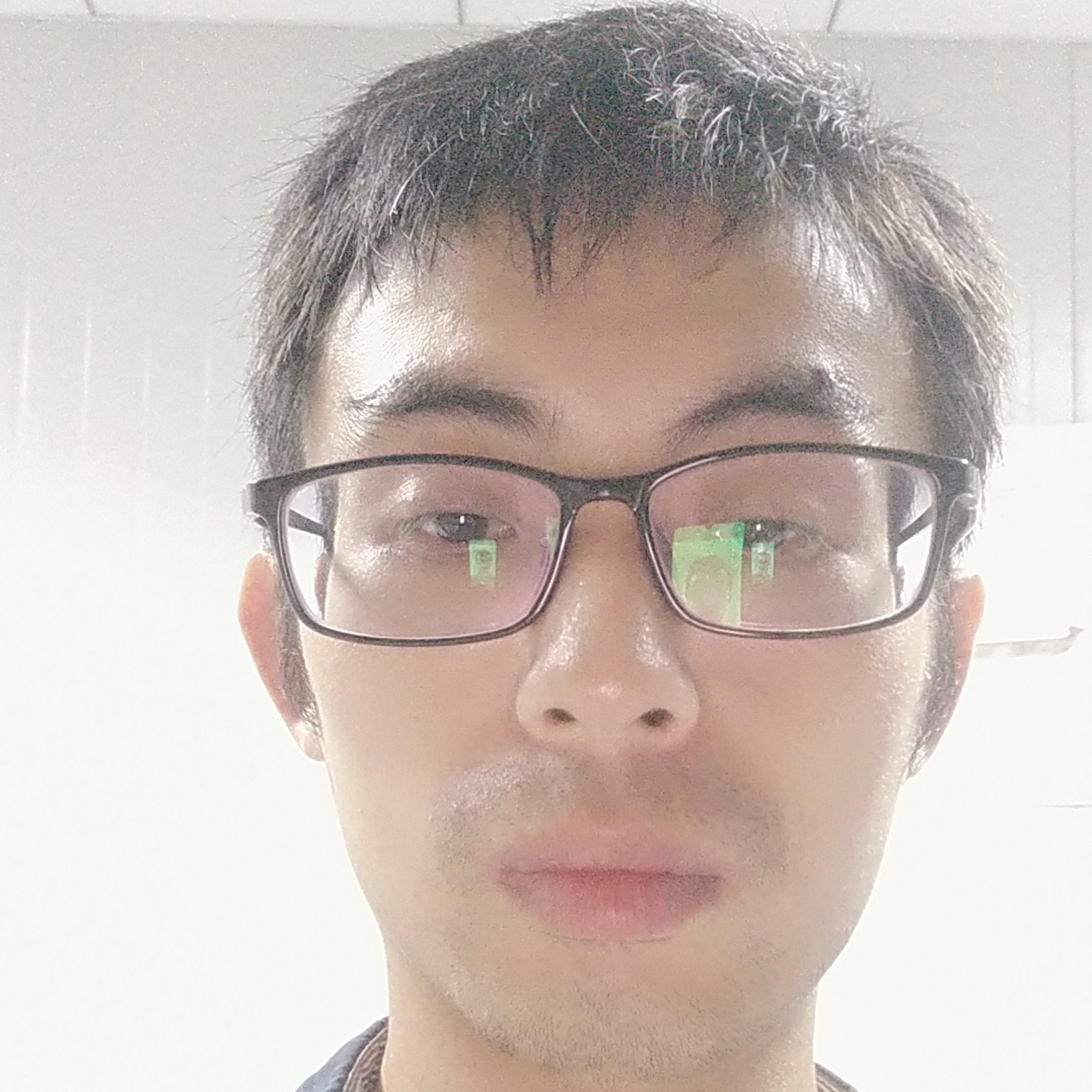 贪玩向小蚂蚁的照片