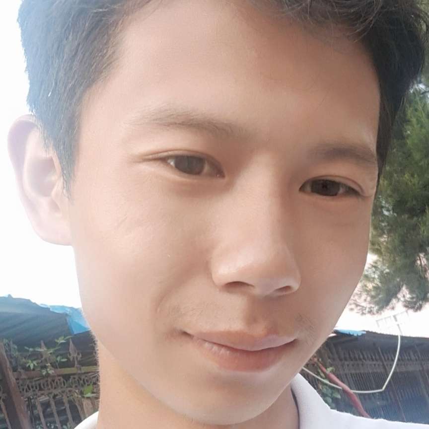 苹果請台灯的照片