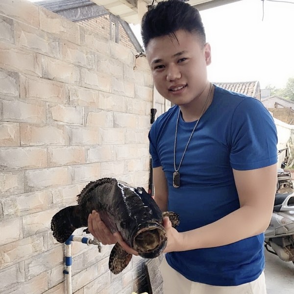 上海大柚子的照片