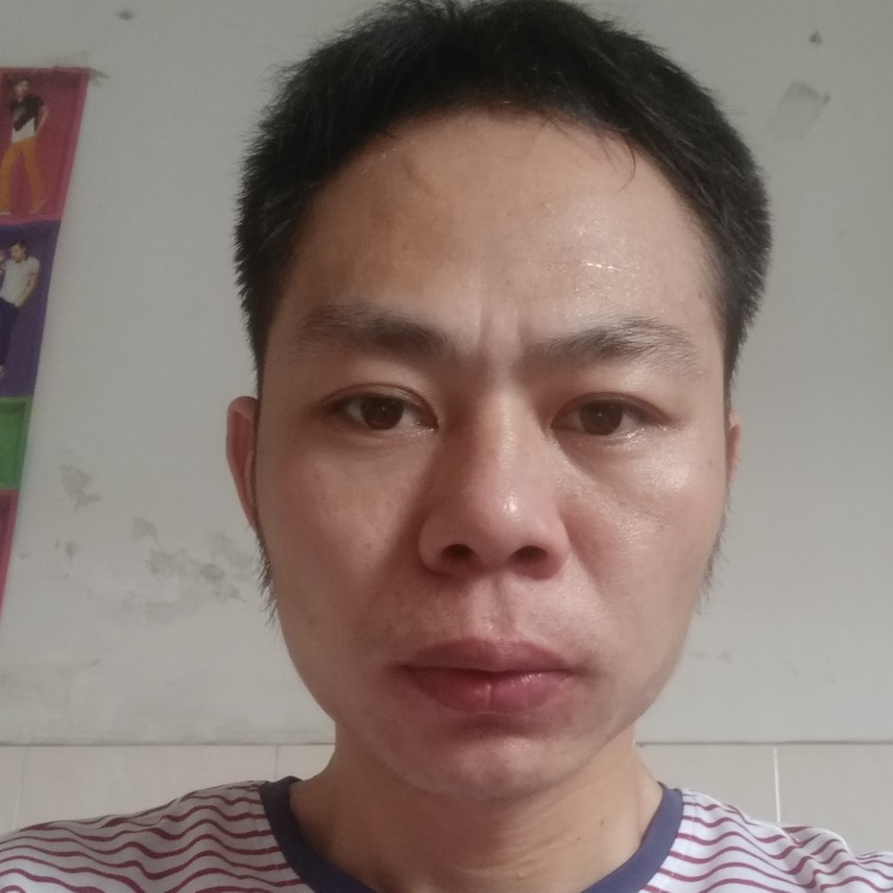 灰狼挽手等待的照片