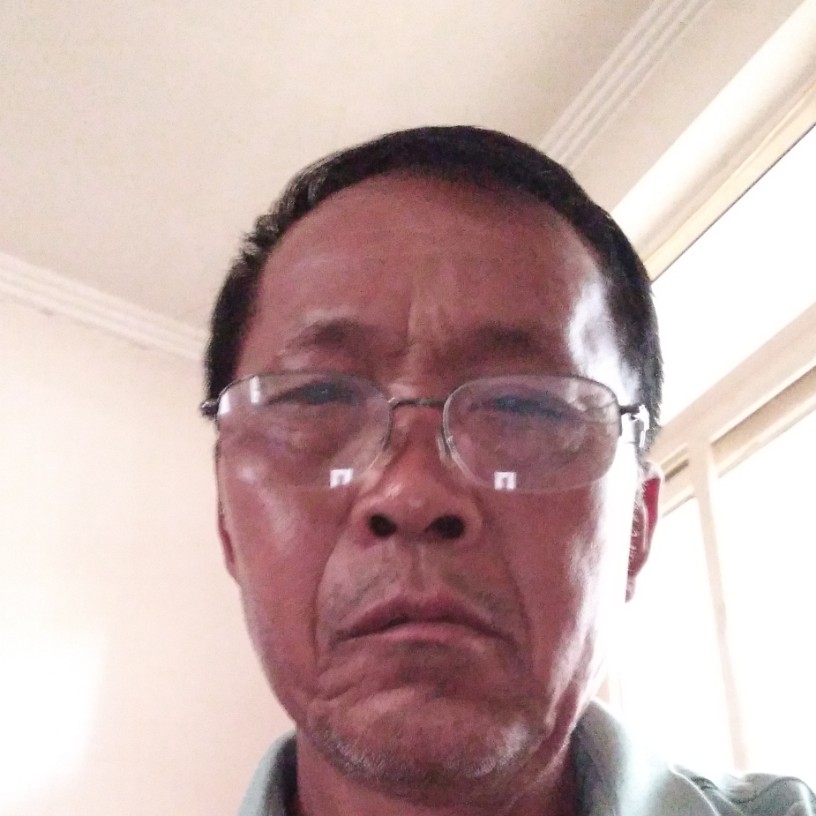 愉快向黄豆的照片