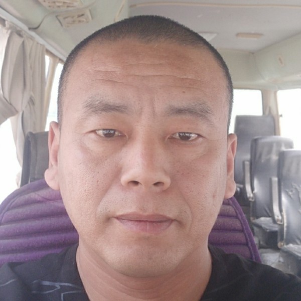 白猫那神勇的照片