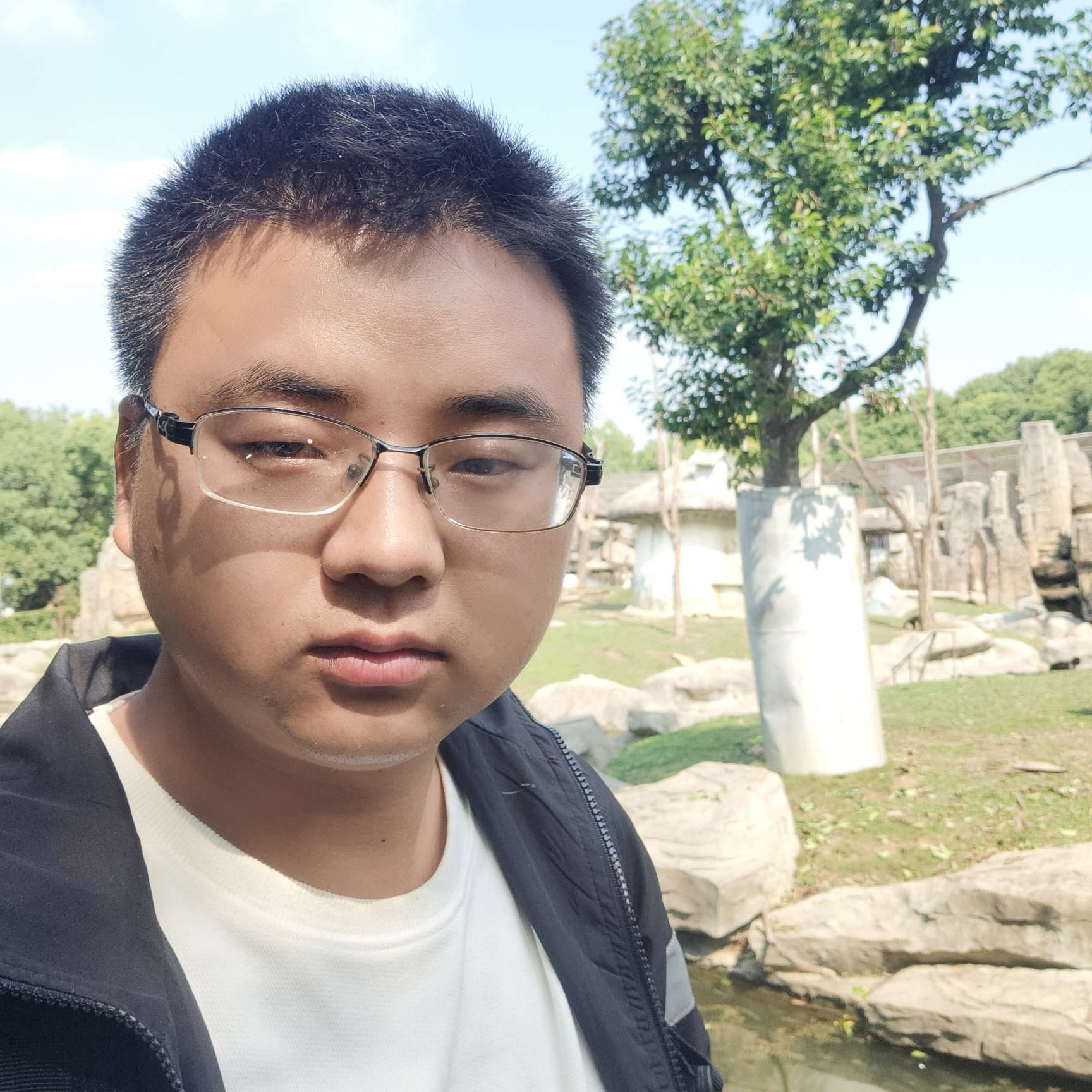 向往的照片