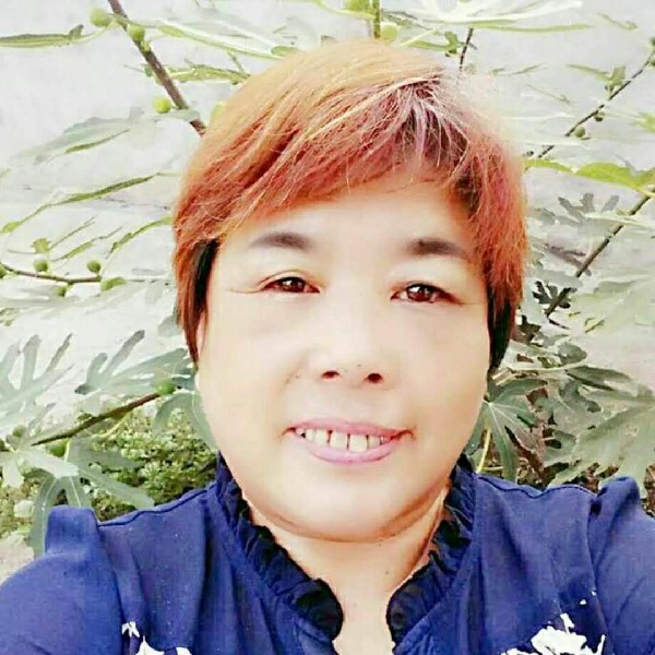 杨光晓木的照片