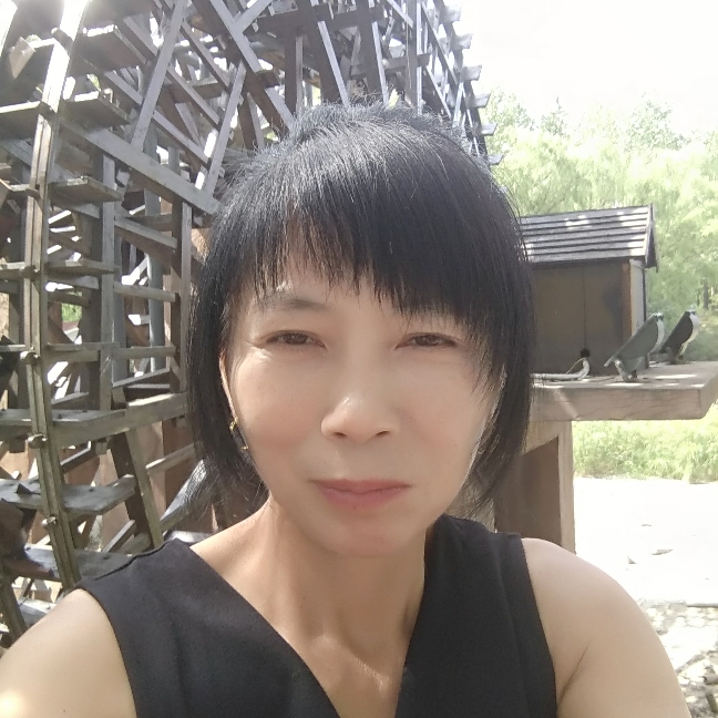 清秀蜻蜓的照片