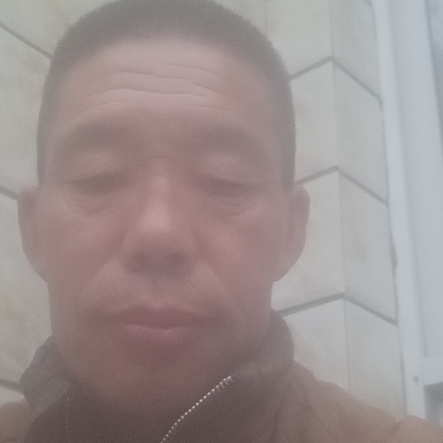 斯文泪了老虎的照片