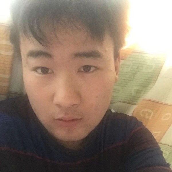 翅膀的沉静的照片