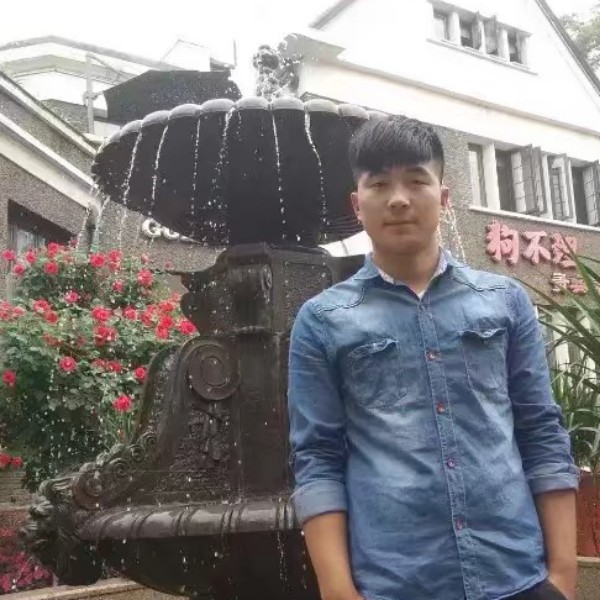 炙热海燕的照片