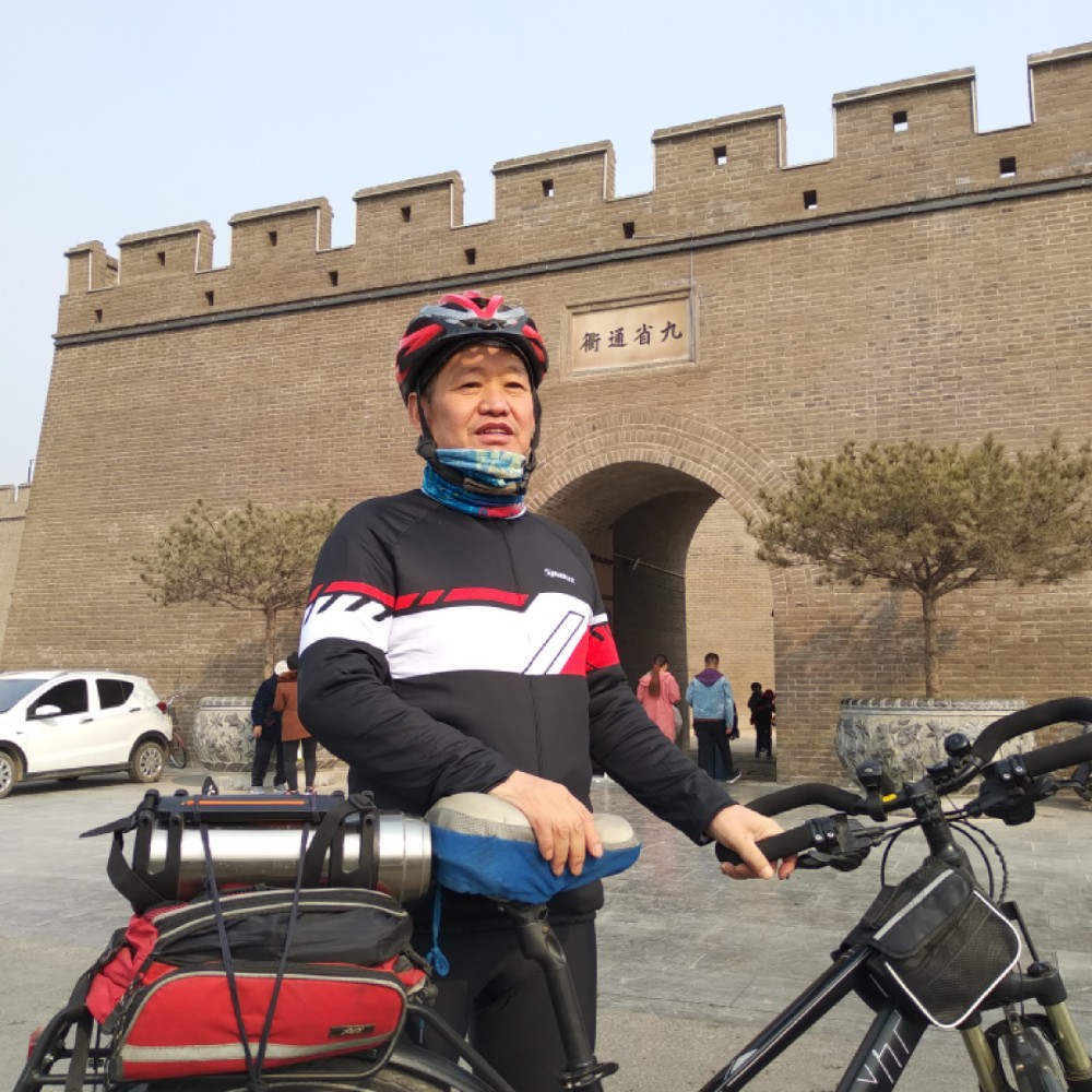 金鱼辛勤的照片