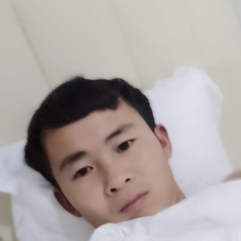 咖啡豆漫步风中的照片