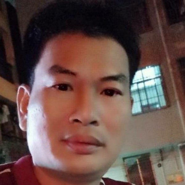 鼠标沉静的照片