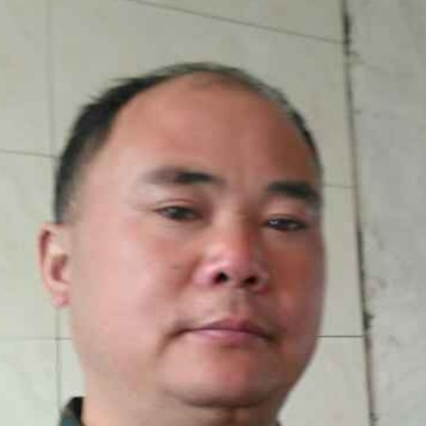 树叶相许从容的照片