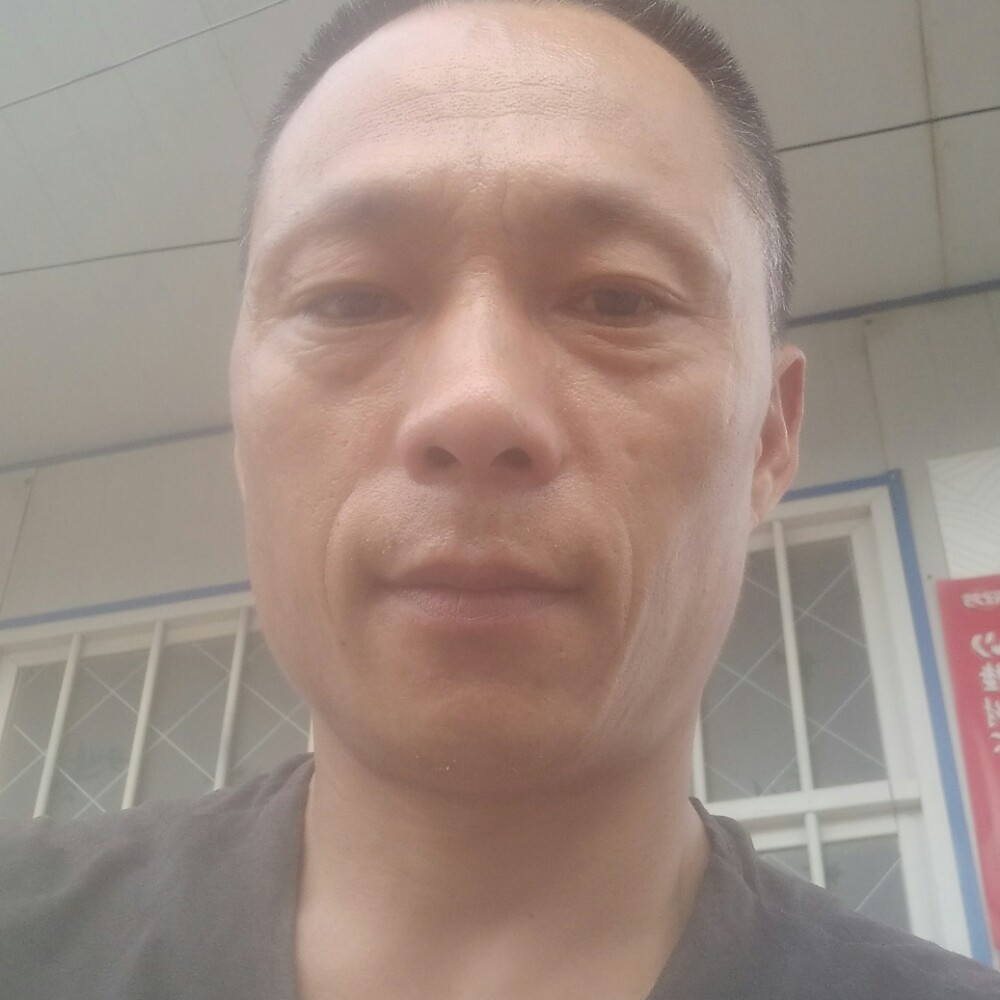 乌龟改变卡布奇诺的照片