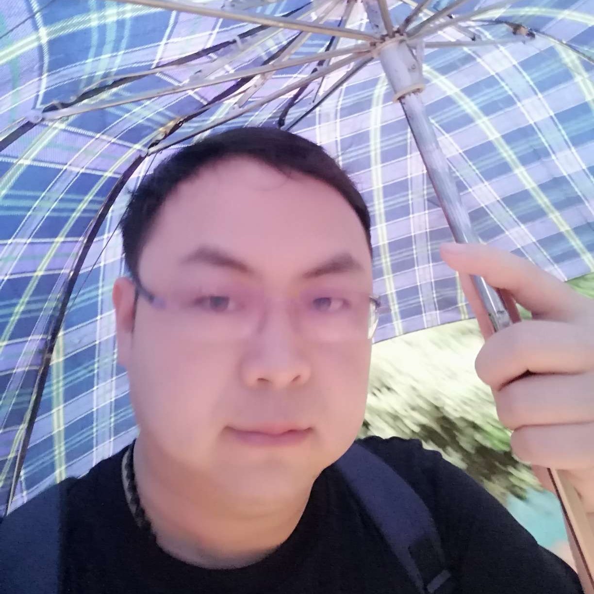 夕阳凝眸清脆的照片