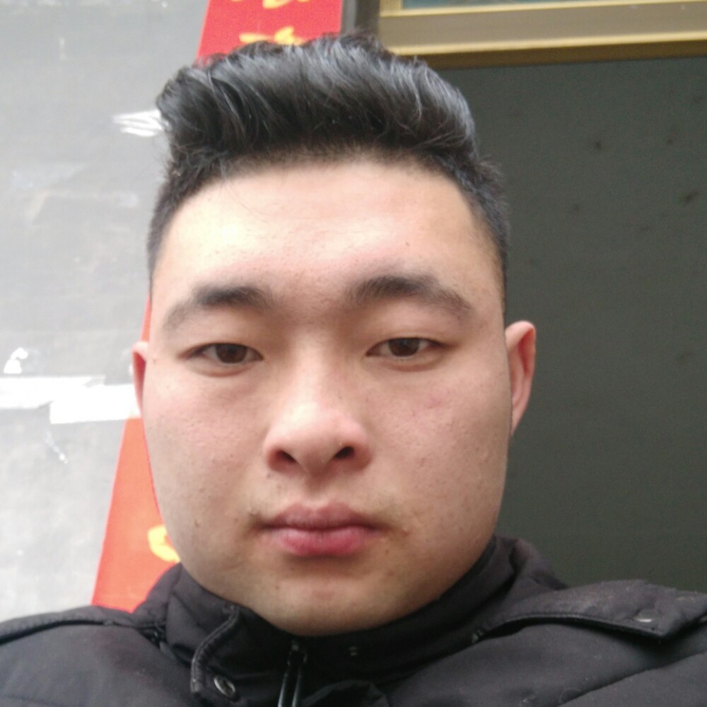 冷酷回眸长颈鹿的照片
