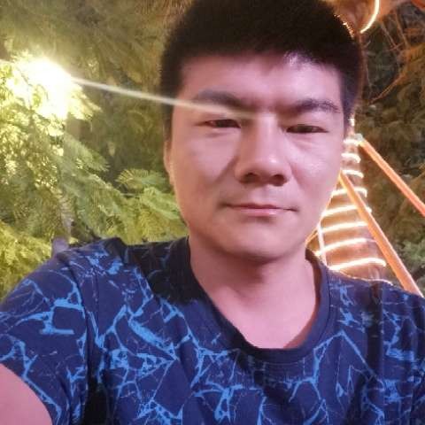蚌的照片