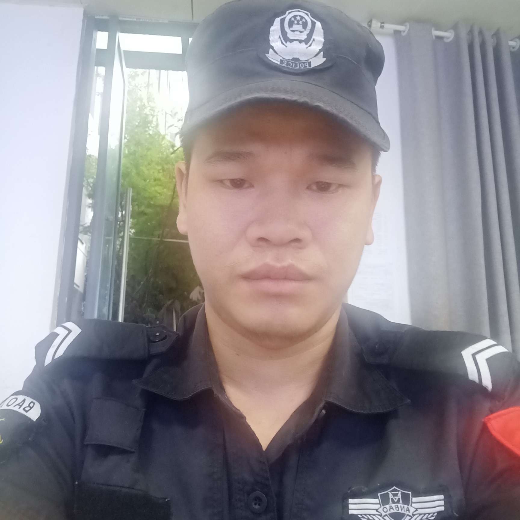 温柔给黄蜂的照片