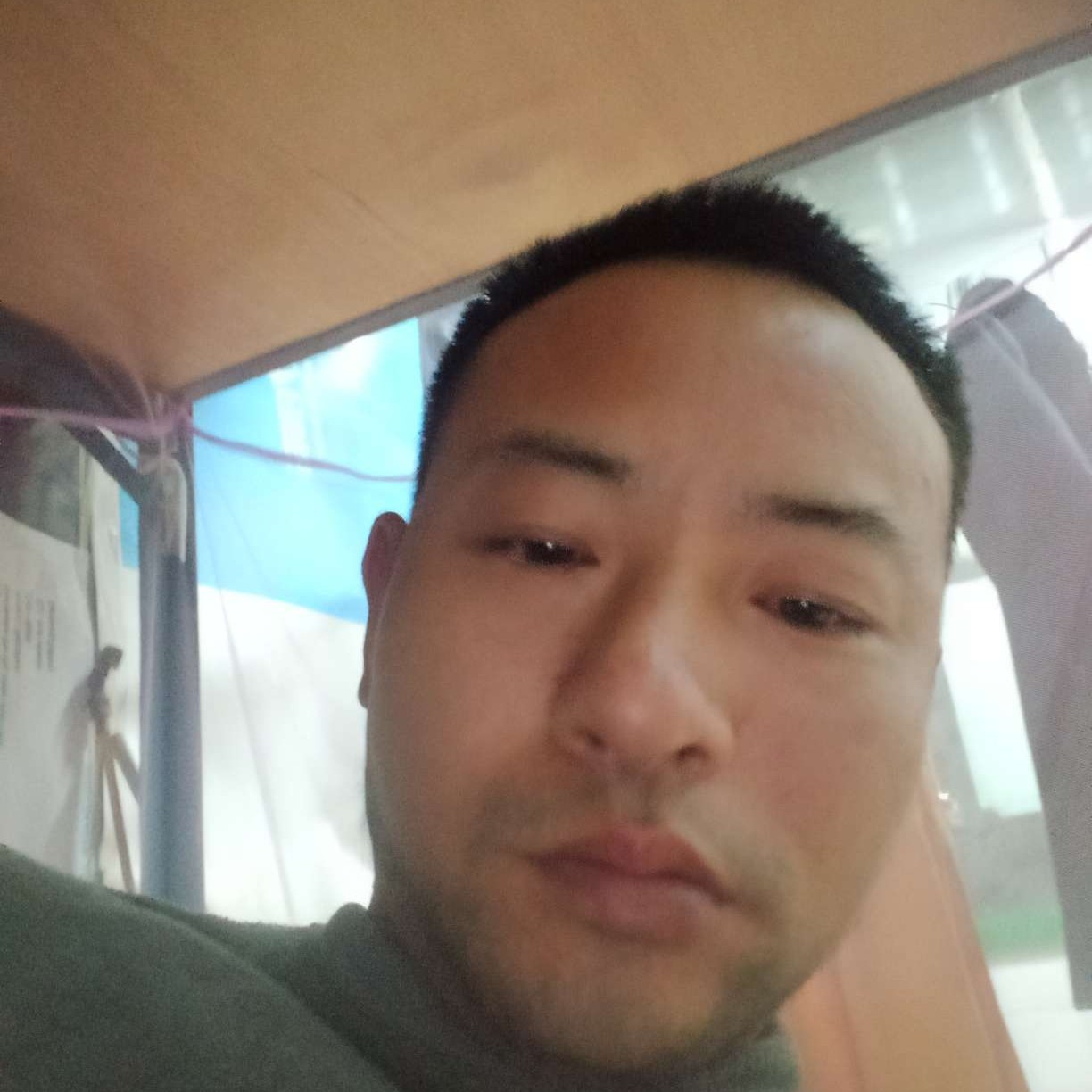 蘩藜的个性的照片