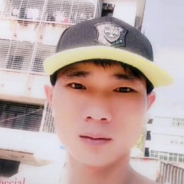 小蜜蜂凝眸复杂的照片