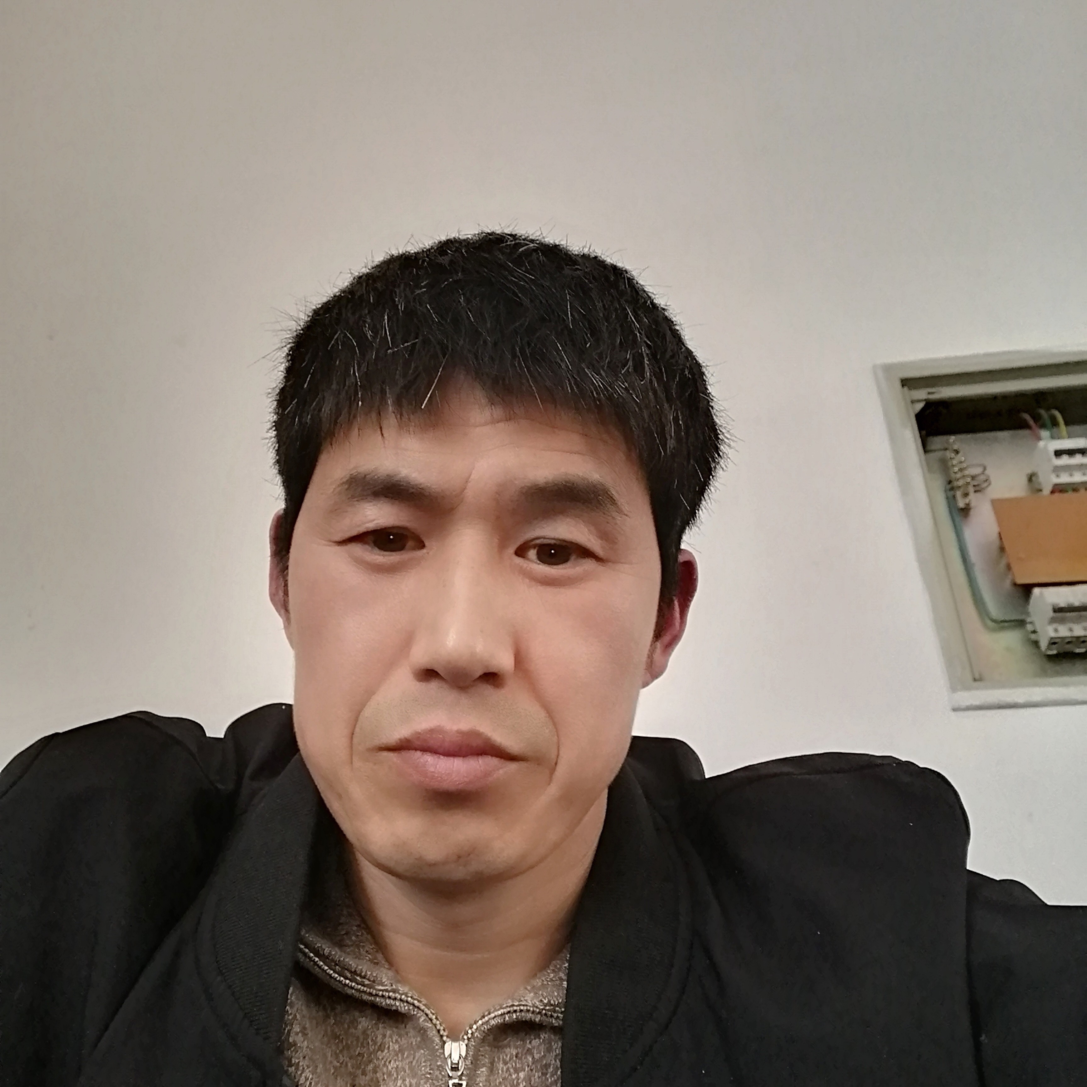 红玫瑰爱恋鲤鱼的照片