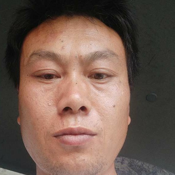 虚心愿小蚂蚁的照片