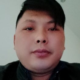 向日葵的照片