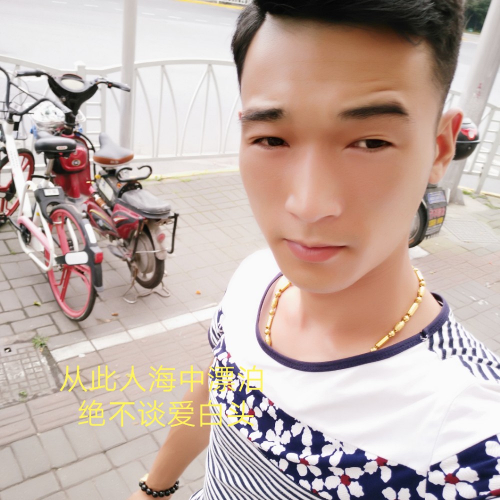 灰狼回眸等待的照片