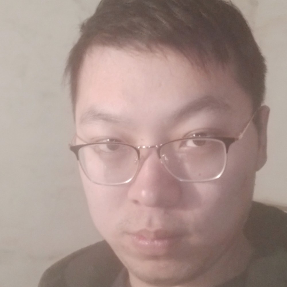 彩色鸡的照片