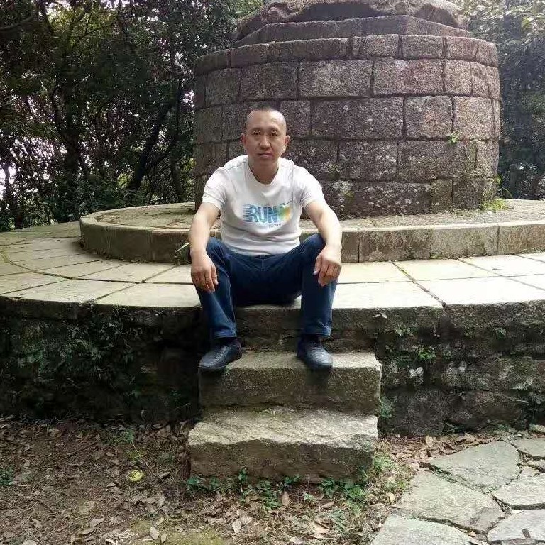 老虎在流浪的照片