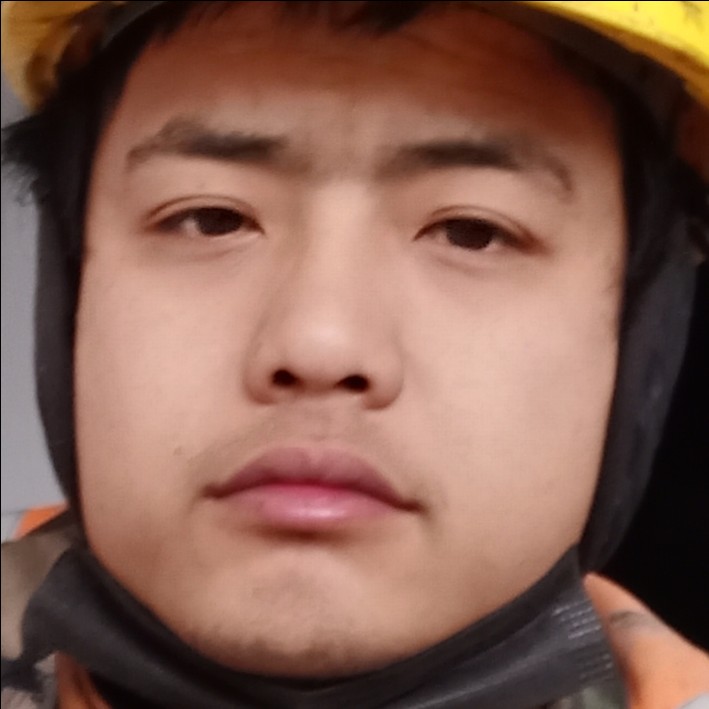 森，森的照片