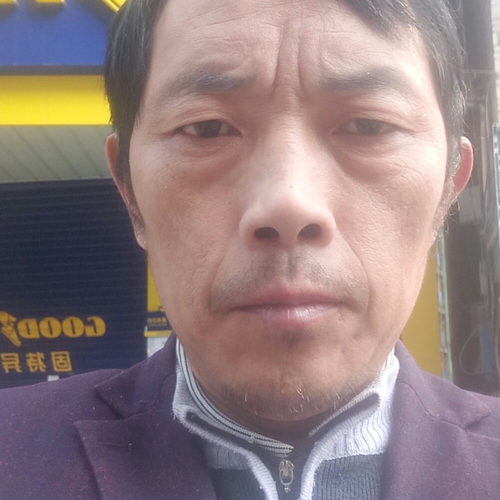 重要鸡的照片