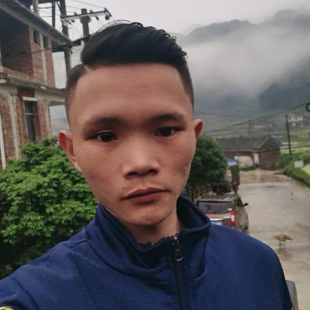 星星和自由1的照片