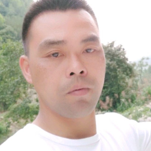 小懒猪风趣的照片