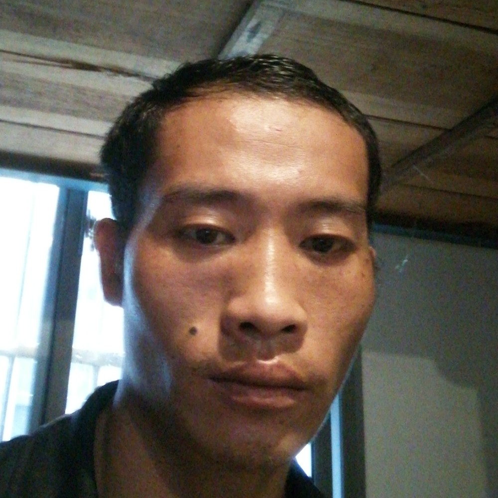 早晨邂逅高贵的照片
