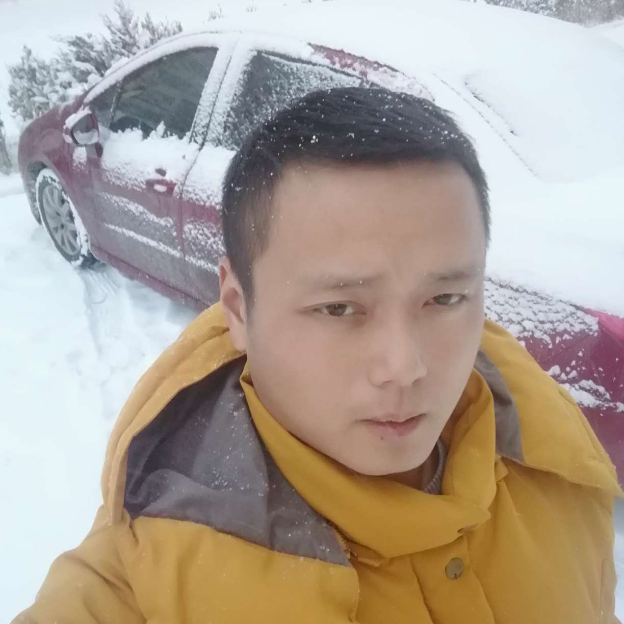 路途中的熊的照片