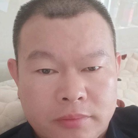 坚强倾心战斗机的照片