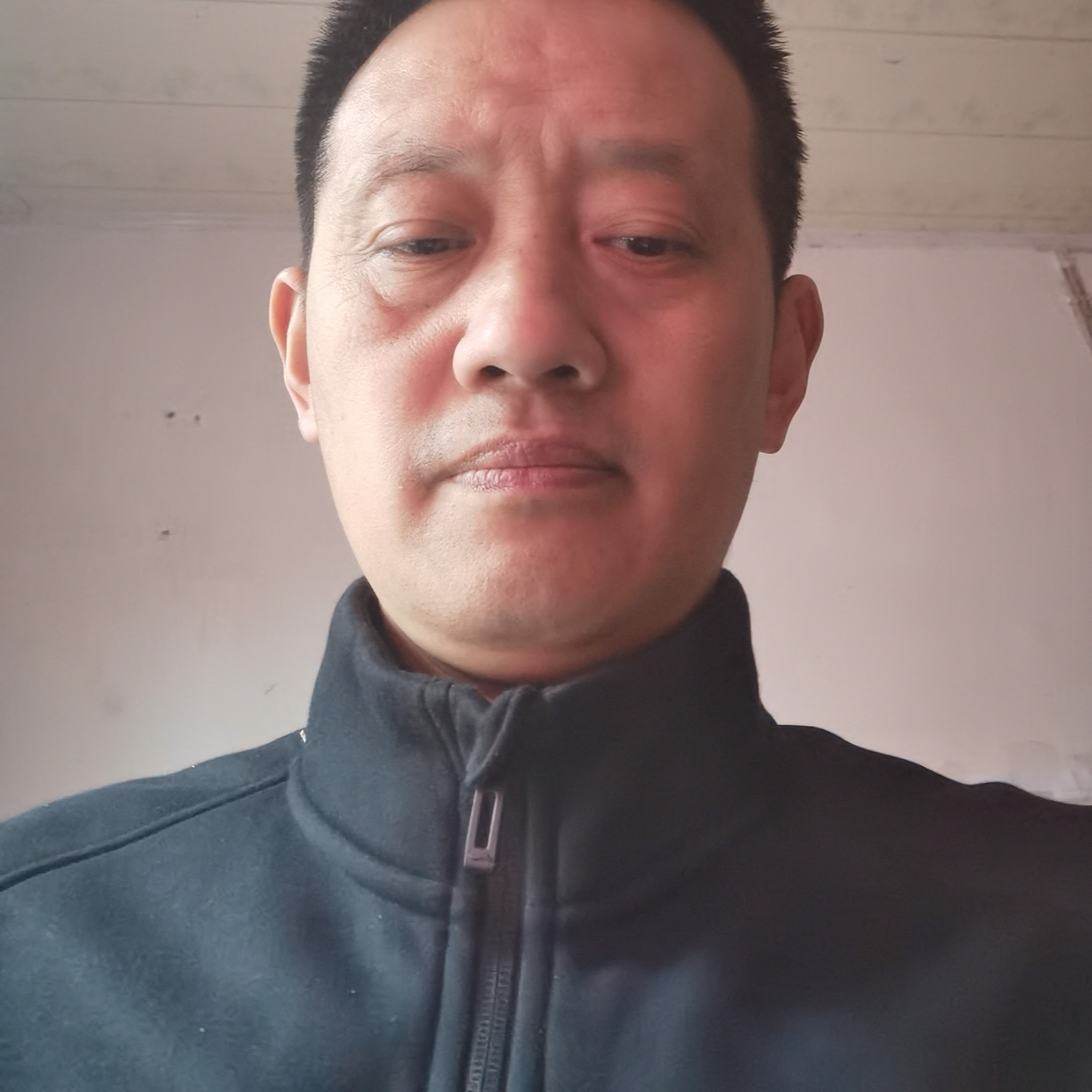 龙猫邂逅淡定的照片