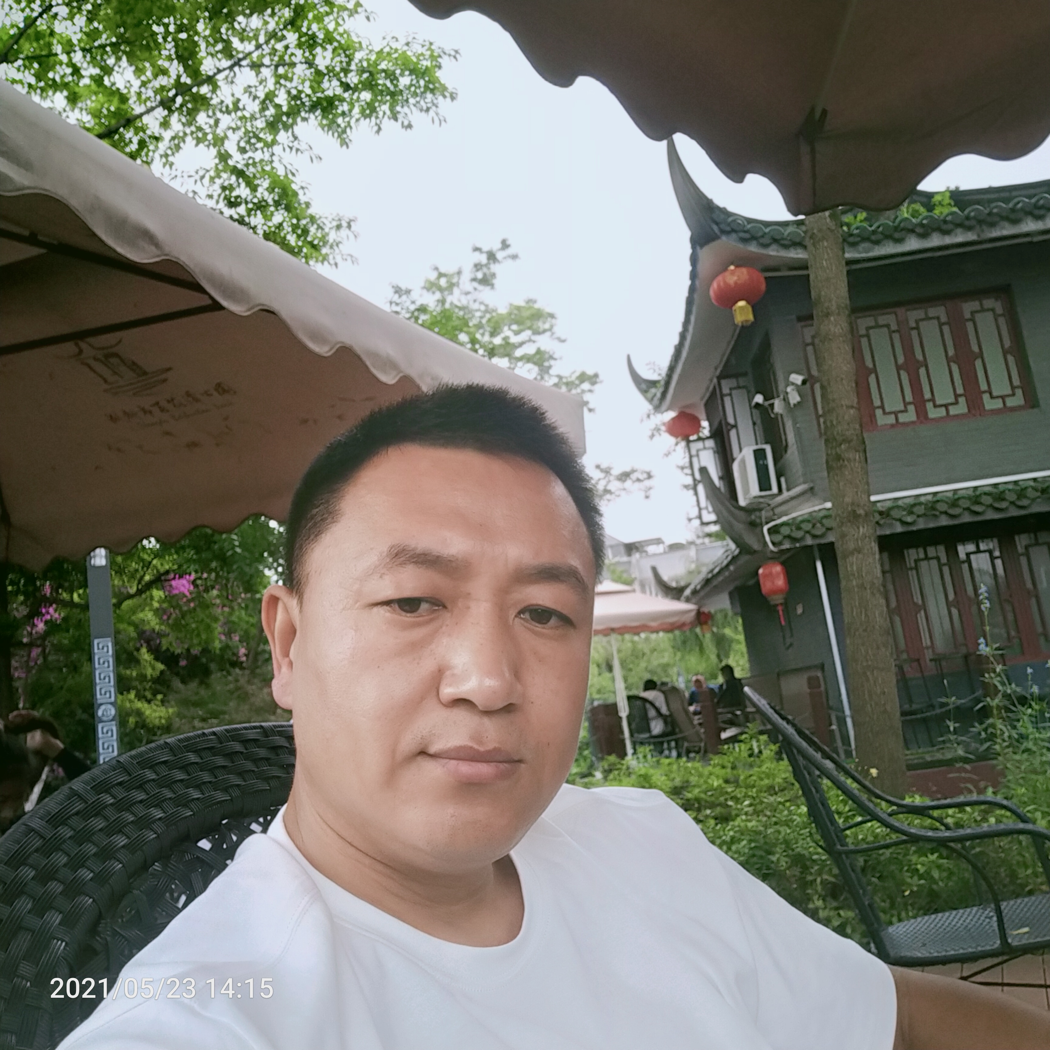 现实豆芽276的照片