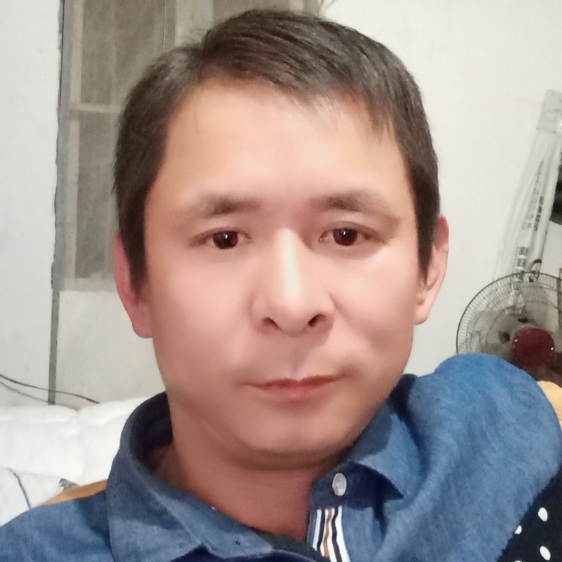 小天鹅浅吻想人陪的照片
